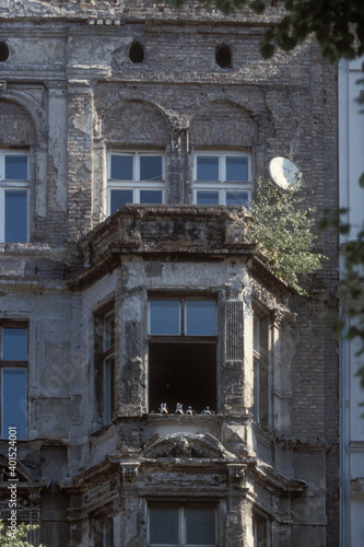 Ruinoeses Wohnhaus