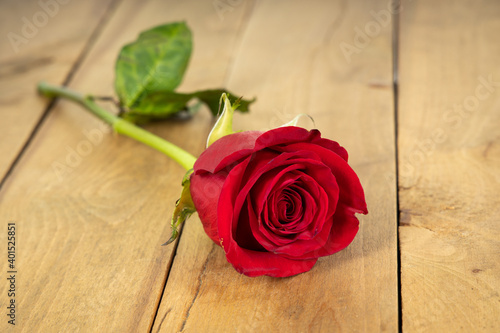 Red rose on wooden background. Background for valentines and woman day. Wedding decoration