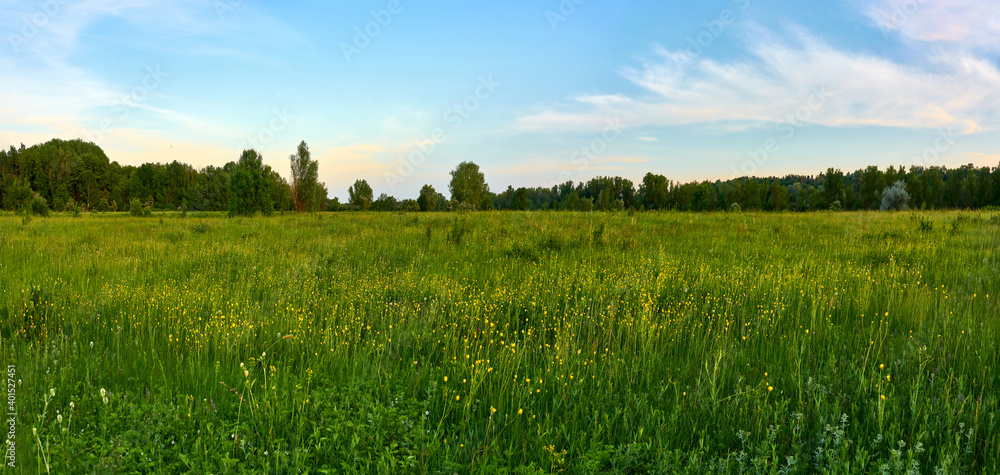 Naklejka premium sky, field, landscape, grass, nature, blue, summer, meadow, clouds, flowers, countryside, green, autumn, agriculture, wheat, horizon, farm, yellow, land, outdoors, trees, tree, plant, blue sky, nature