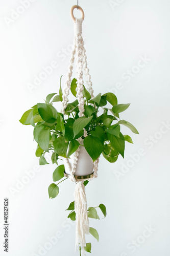 decorative macrame plant holder hanging on the wall detail decorating the interior of a house with white walls