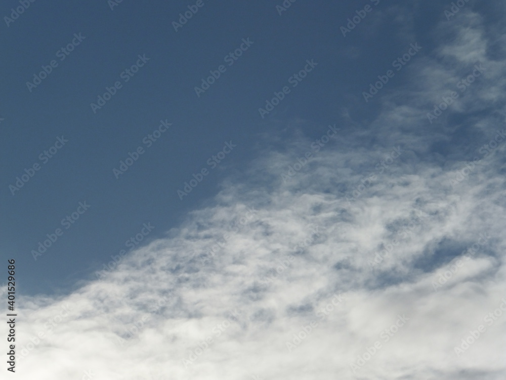 Naklejka premium Tudor Schleurholts, 