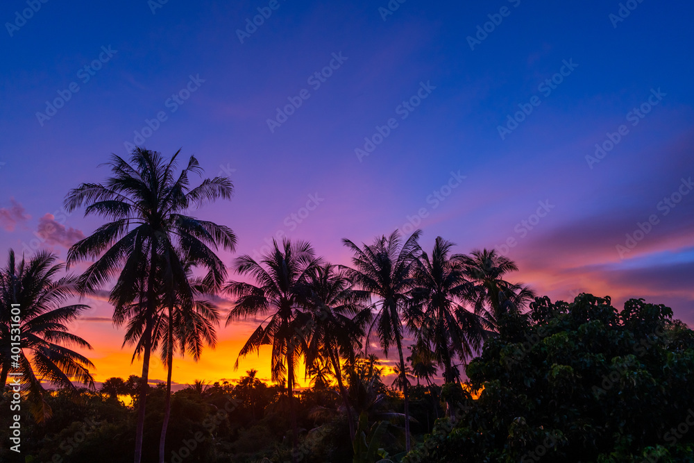 silhouette coconut and palm trees at sunset sky