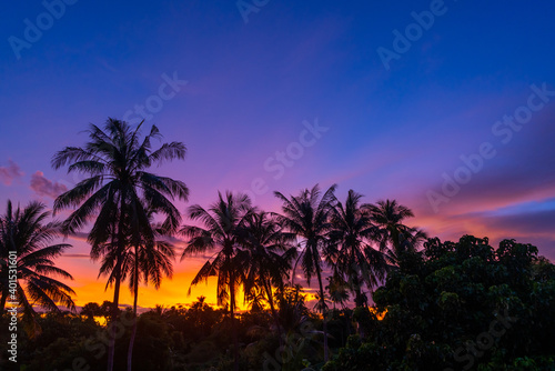 silhouette coconut and palm trees at sunset sky