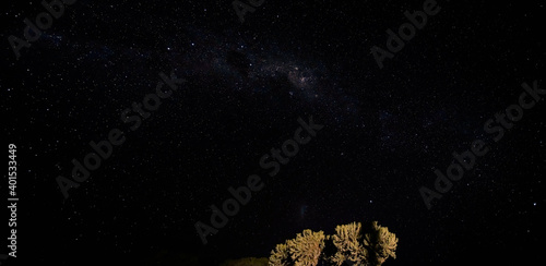 Night sky with Milkyway galaxy over small tree shrubs as seen from Anakao, Madagascar, Southern cross or crux constellation visible near Carina Nebula