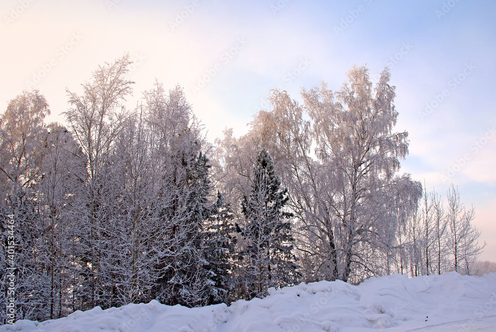 Thickets of trees and bushes along the road. There are snowdrifts on the roadside. The sky is pink white and blue.