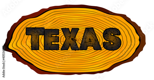 Texas Log Sign