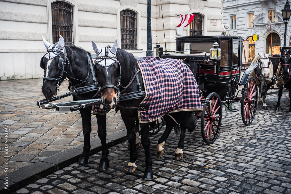 Fiaker Hackney Carriage at Saint Michael Square in Vienna, Austria  on a Cold Winter Day