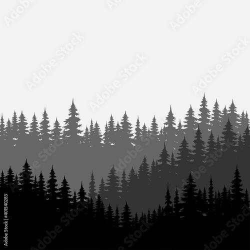 Forest background  nature  landscape. Trees  silhouette of forest