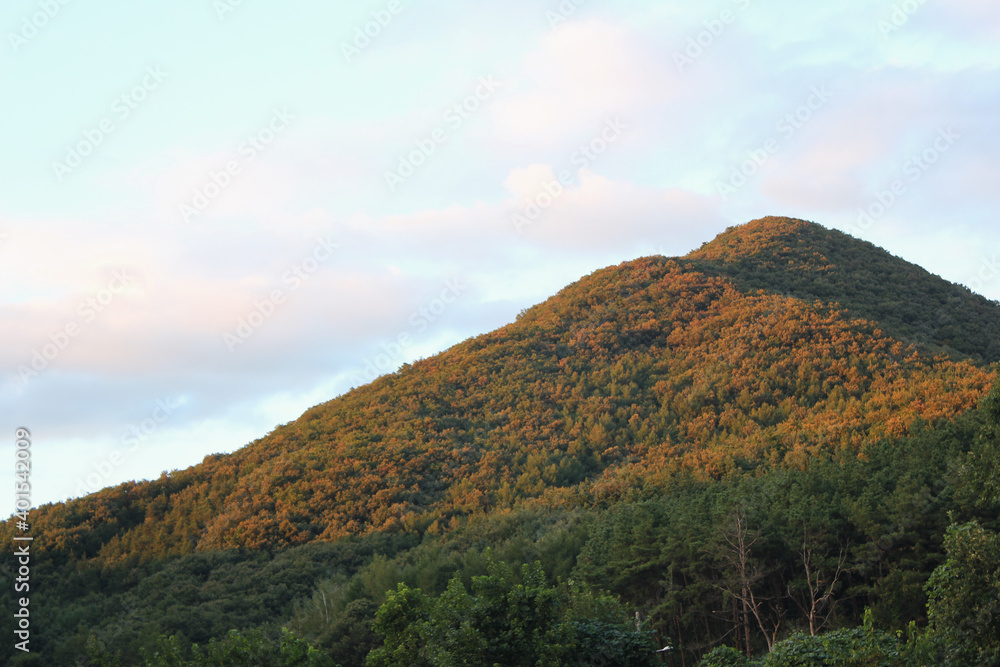 blue sky and fall mountain