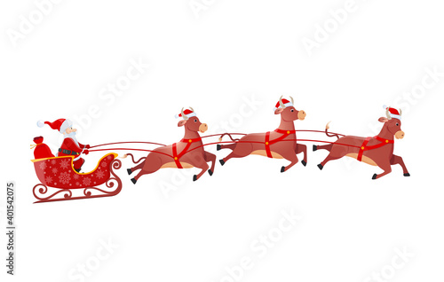 Santa on Sleigh and His flying three bulls on White Background