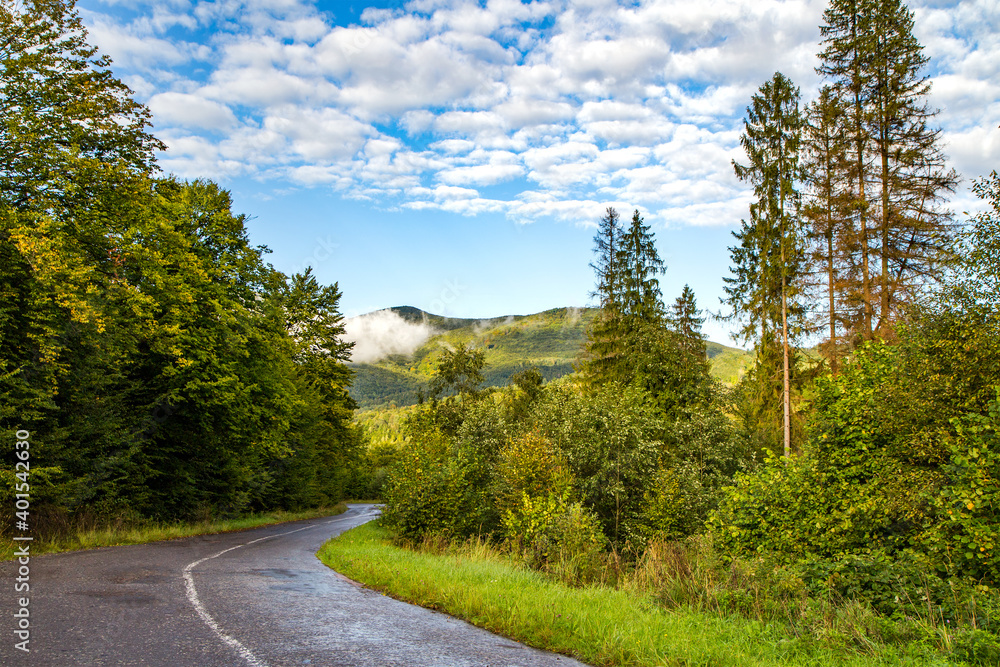 road passing near the forest and mountains. blue sky with clouds. nature landscape.