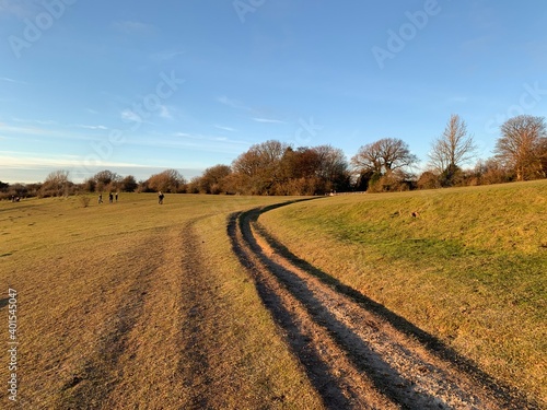 country road in autumn