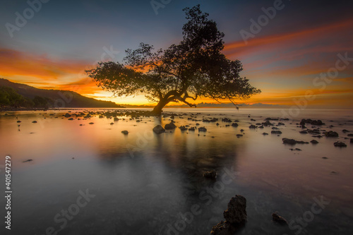 Beautiful afternoon with the single tree © Yan Masang