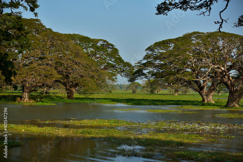 Seelandschaft nahe Kataragama im südlichen Sri Lanka