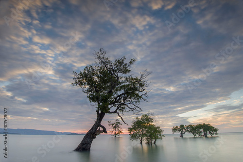 Fototapeta Naklejka Na Ścianę i Meble -  The view of the beach with mangrove trees lined up plus beautiful clouds that form a heart