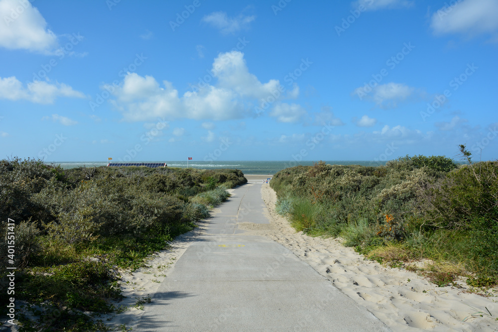 A footpath between the dunes to the beach with the sea