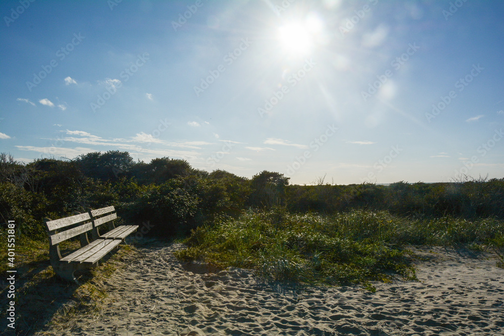 Wooden bench in the dunes with bright sun Wooden bench in the dunes with bright sun