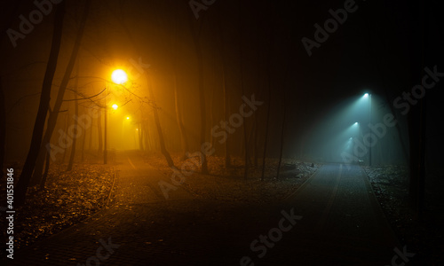 Late evening  night in park  foggy street lights illuminating crossing of pathways in two different eerie colours