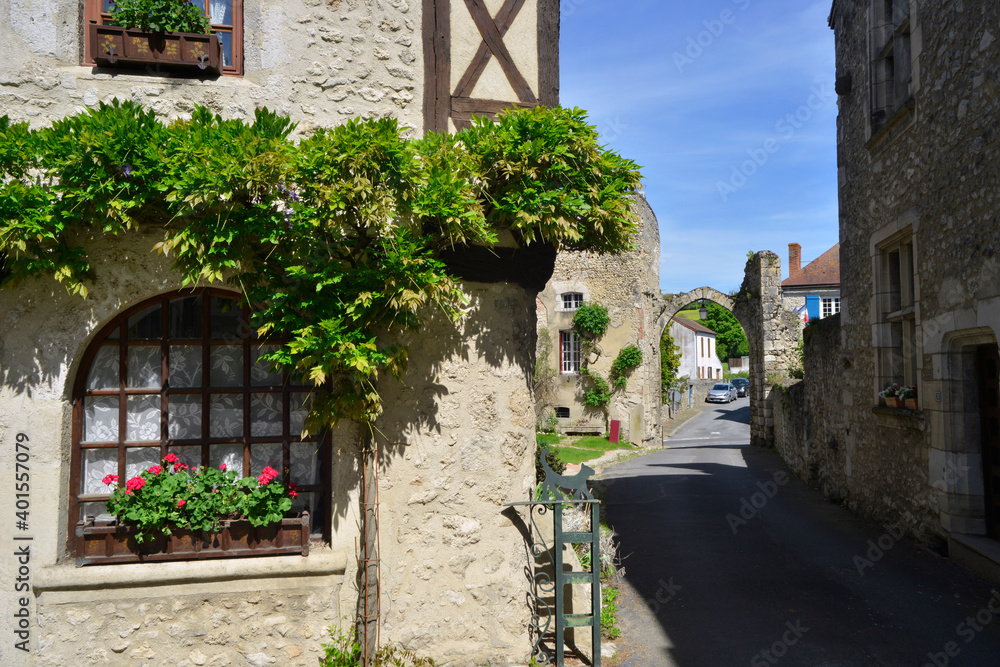 Maison fleurie et la porte cochère de la rue Chabotin à Billy (03260), Allier en Auvergne-Rhône-Alpes, France