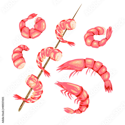 Shrimp on a white background