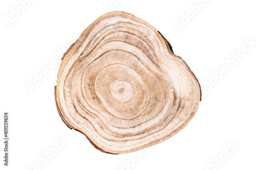 Wooden cross section cut isolated on white, studio shot. Award showcase for cosmetic products. Natural organic eco-friendly pedestal. Tree trunk showing growth rings. Product advertisement mockup photo