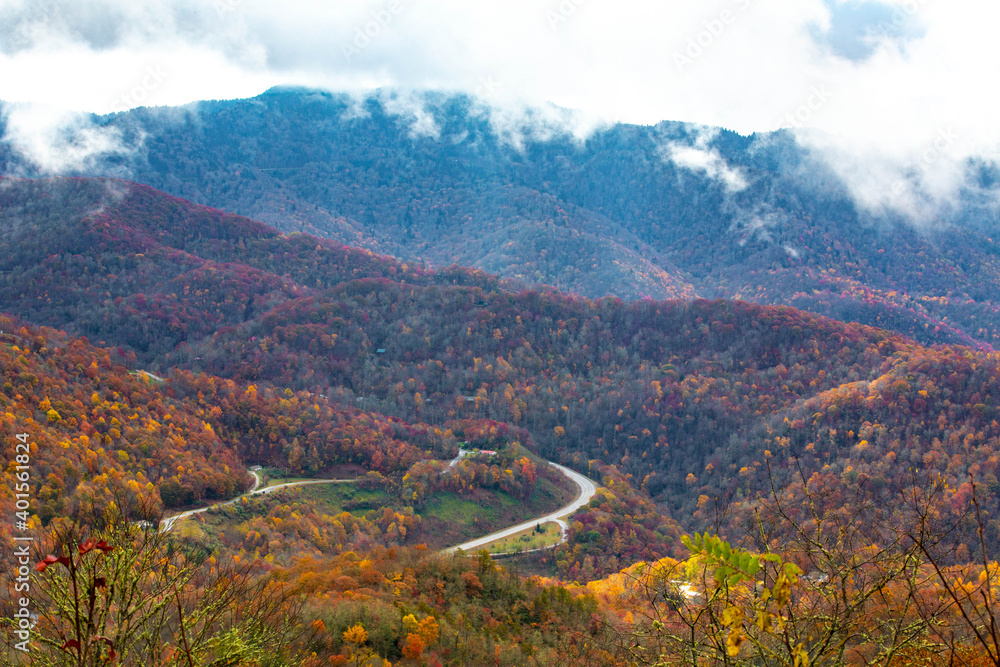 Smoky Mountains in Fall Color With Road