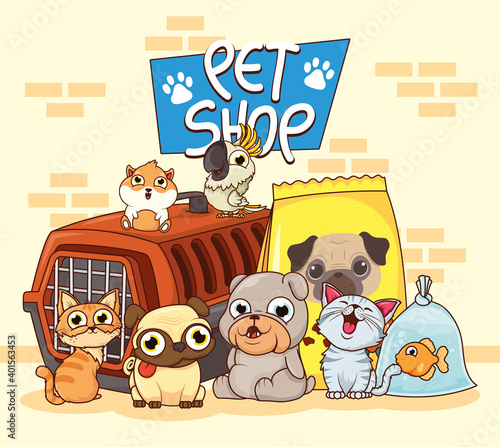 group of animals pets with box transport and food bag