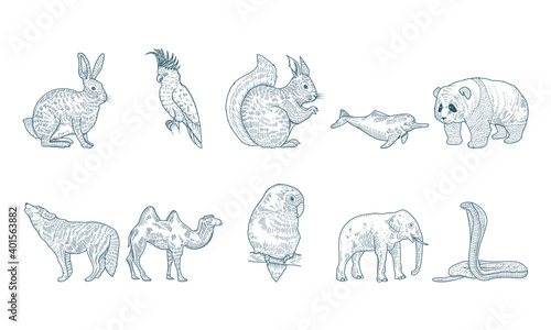 group of ten animals realistic characters drawn style icons