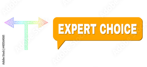 Expert Choice and bifurcation arrows left right vector. Rainbow colored network bifurcation arrows left right, and speech Expert Choice cloud message.