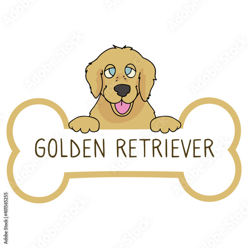 Cute cartoon Golden Retriever on collar dog tag vector clipart. Purebred doggy identification medal for pet id. Domestic dog for pet pooch. 