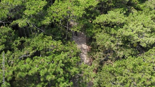 Mountainbiker rides down a mountain road. Filmed from above the tree tops. photo