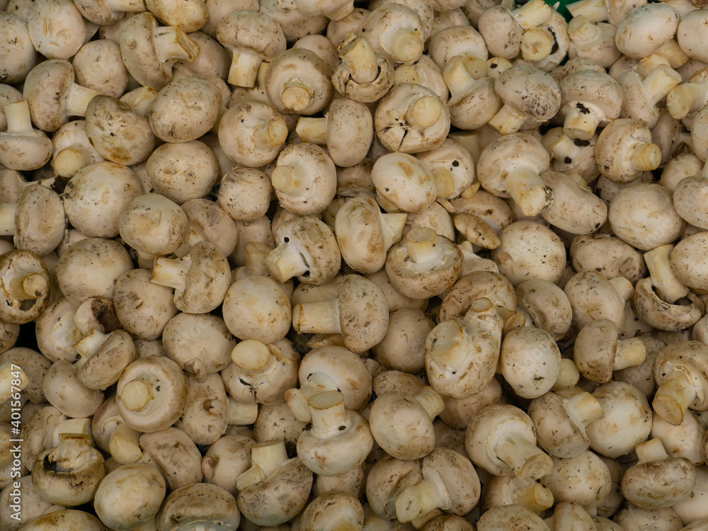 champignon mushrooms in the supermarket, on the counter champignon mushrooms in the supermarket, on the counter