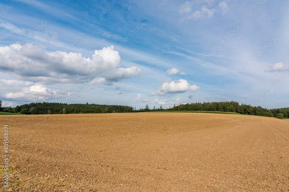 Green field with agriculture meadow and blue sky. Panoramic view to grass on the hill on sunny spring day