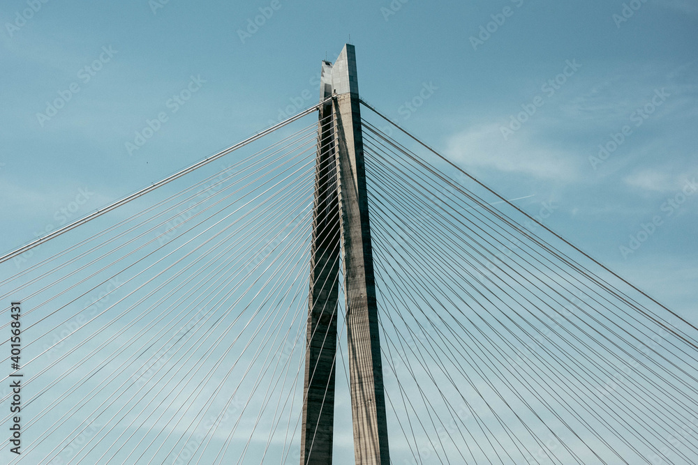 Obraz premium A bridge and forest over the strait. A bridge in the Bosphorus.