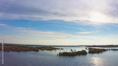 Beautiful Samarskie Plavni bird's-eye view in bright evening warm light in Ukraine. Aerial UHD 4K drone realtime video, shot in 10bit HLG and colorized