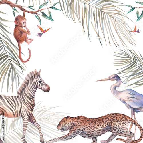 Photography Jungle frame
