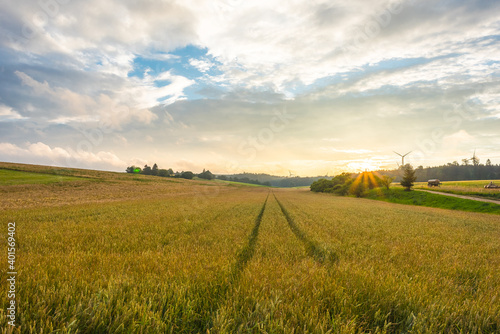 Green field with agriculture meadow and blue sky. Panoramic view to grass on the hill on sunny spring day