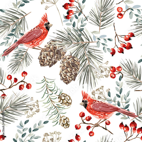 Christmas seamless pattern, cardinal birds, red berries, fir twigs, cedar cones, white background. Vector illustration. Nature design. Season greeting. Winter Xmas holidays