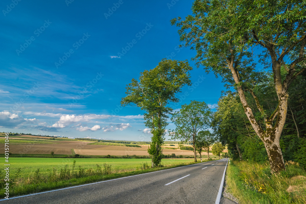 Beautiful road in the nature.
Green field with agriculture meadow and wildflowers in peaceful garden.
Beautiful road in the nature.
Green field with agriculture meadow and wildflowers in peaceful garden.