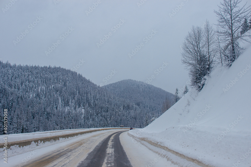 Fototapeta premium Snow-covered highway among the mountains, on the sides there are trees and trees in the snow. Winter landscape with snow-covered road, fir trees and mountains in Montana, America, 1-18-2020