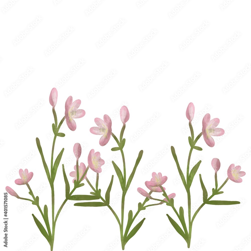 pink tulips pink tulips