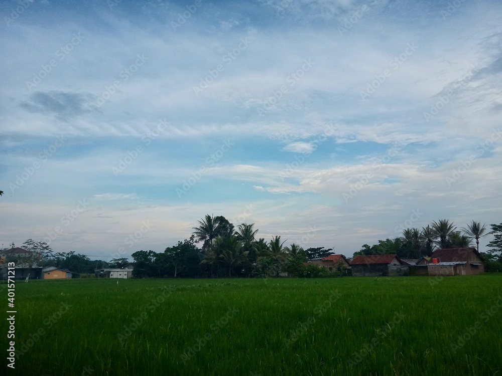 Naklejka premium sunset in the countryside