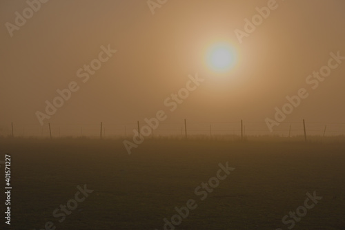 Landscape with thick fog and trees on the horizon