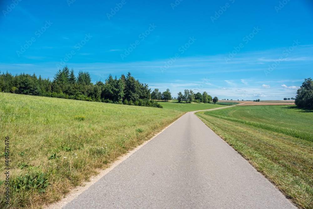 Beautiful road in the nature.
Green field with agriculture meadow and wildflowers in peaceful garden.
