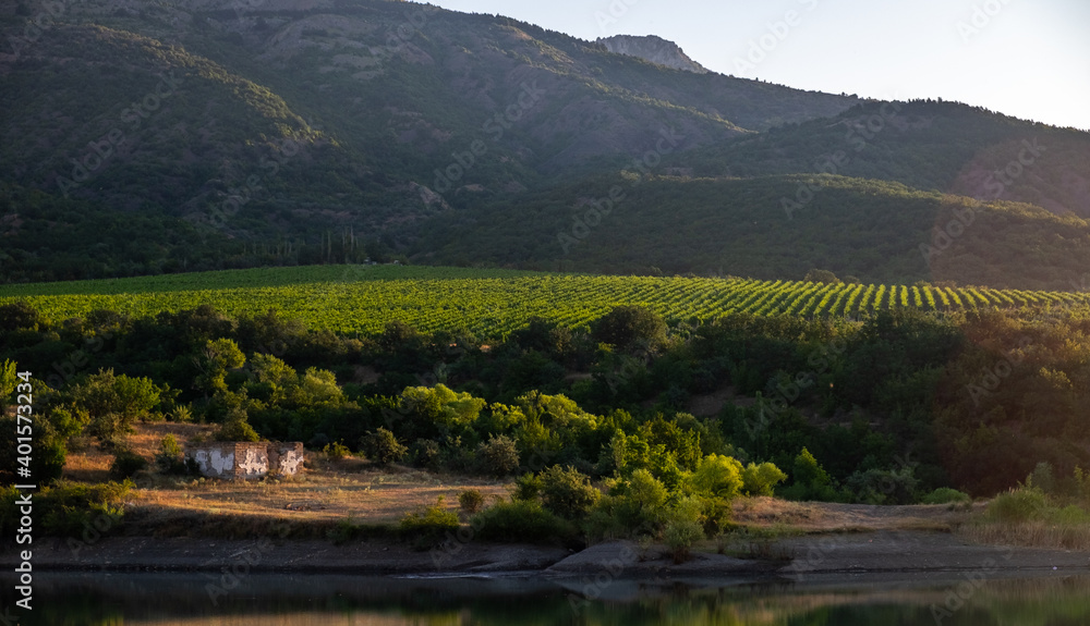 Vineyards surrounded by rocky mountains in the early morning next to a mountain lake.