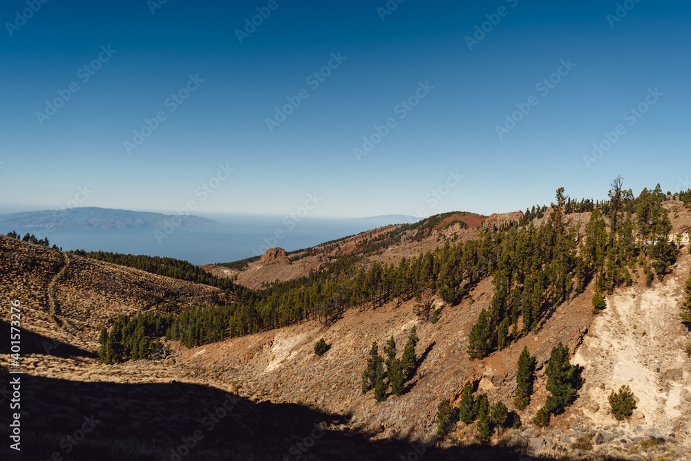 Panorama view on sea and оld mountain forest on the slope of the high mountains. Blue sky above pine trees. Beautiful day spent on a trekking, Tenerife, Canary Islands, Spain