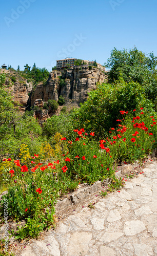 Spectacular views of the Tajo gorge and flower fields near the Puento Nuevo (New Bridge) in Ronda, Spain photo