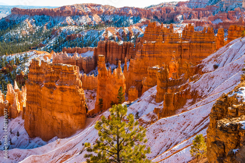 Winter Sunrise Over Bryce Amphitheater From Ponderosa Point, Bryce Canyon National Park, Utah, USA