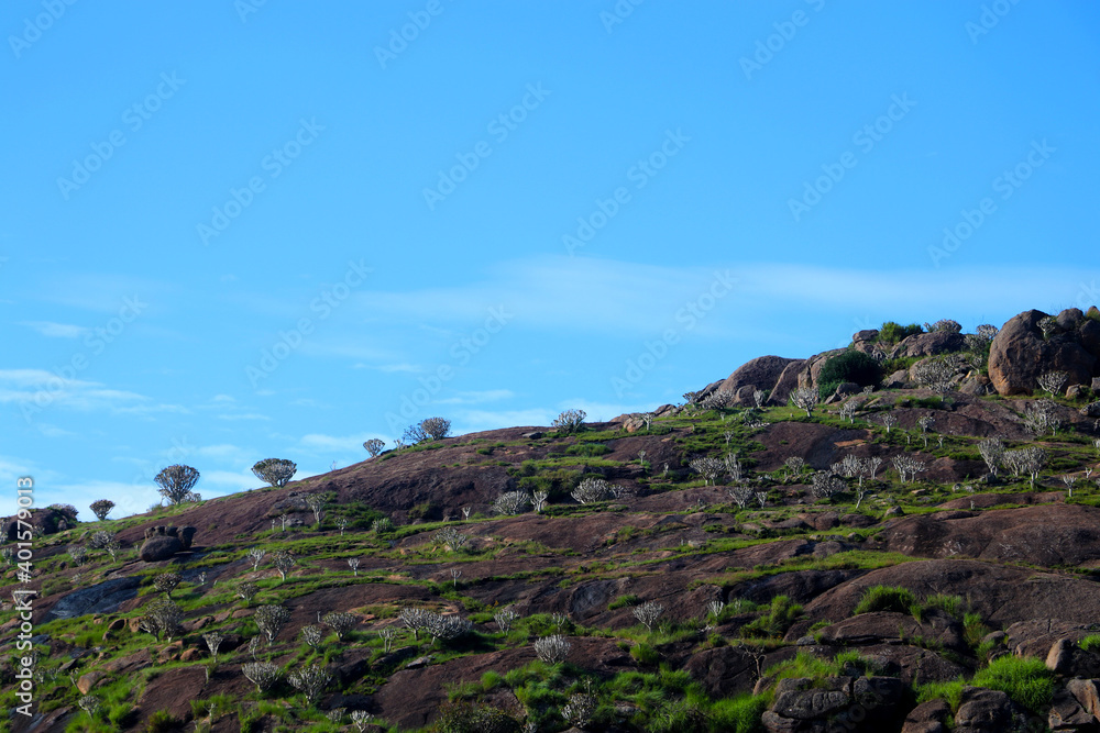 Fototapeta premium landscape with sky