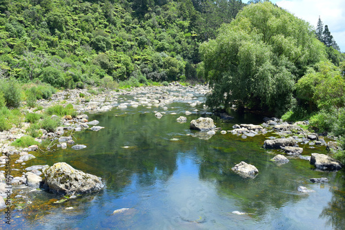 View of Ohinemuri River at Karangahake Gorge photo